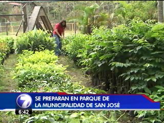 Cada hoja de papel que llega a Ambientados es un árbol en potencia