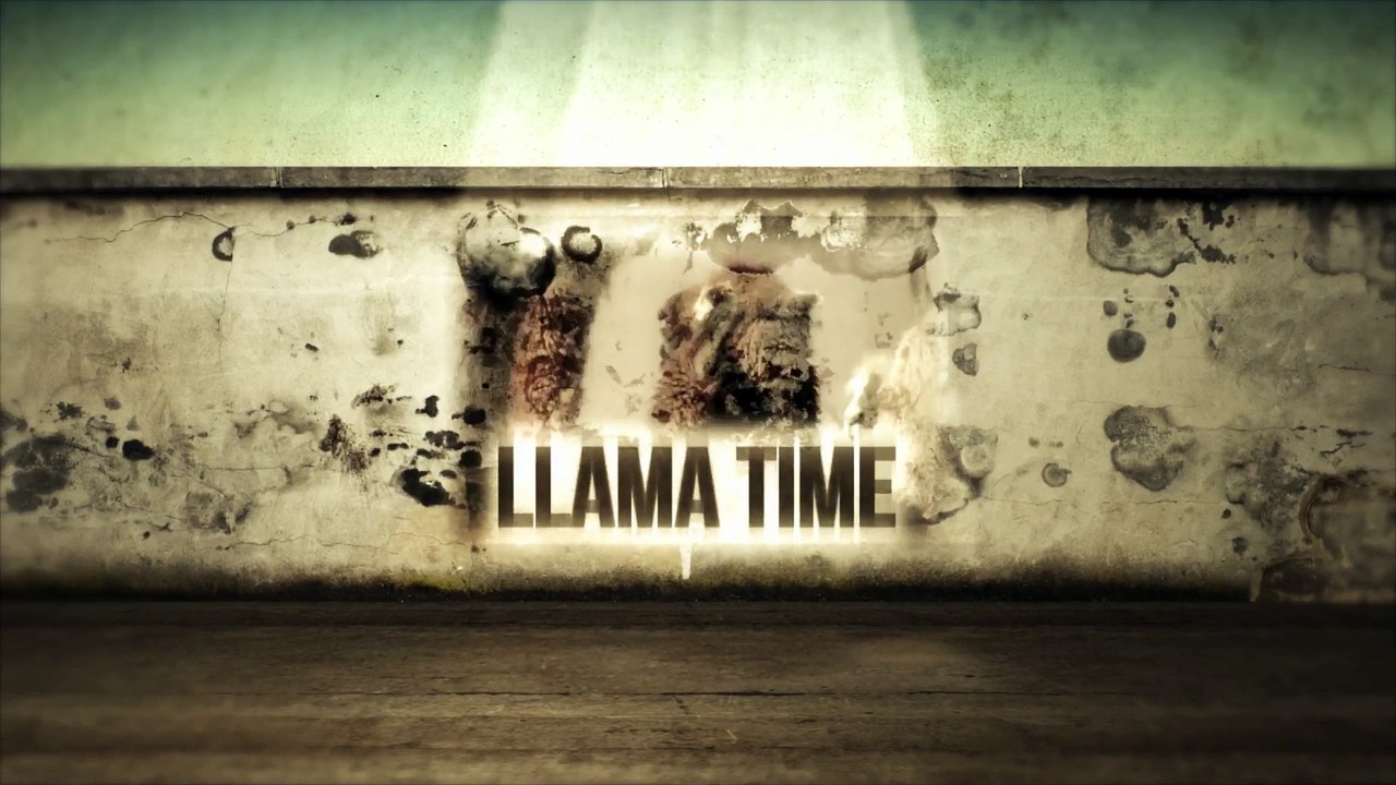 Llama Time - MEXICO CRISIS