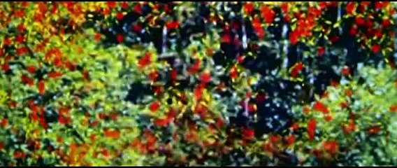 funy childlclour watch on daily motion