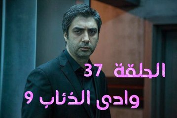 تحميل و مشاهدة وادى الذئاب الجزء التاسع الحلقة 37 HD