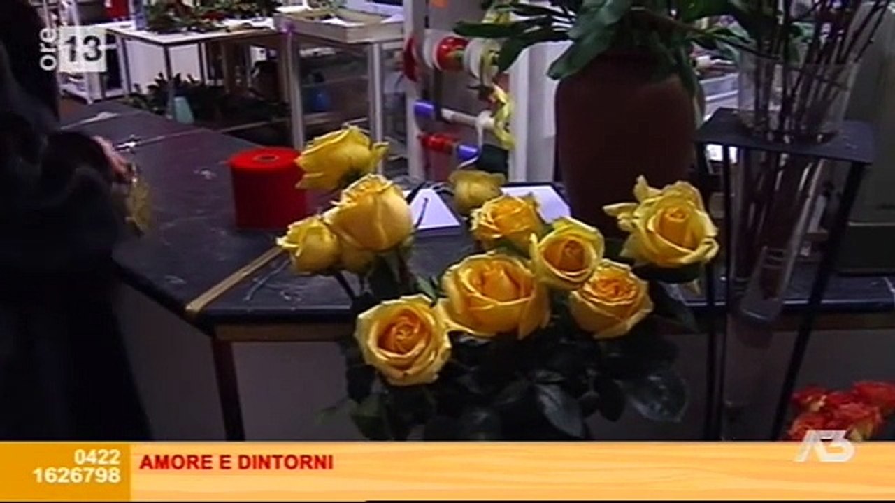 ORE 13 - 13-02-2015 (A3Replay)
