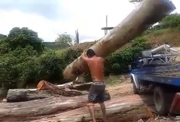 L'homme le plus fort du monde soulève un arbre!