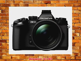 Olympus OM-D E-M1 Kit Appareil photo hybride 163 Mpix   Objectif M.Zuiko Digital ED 12-40 mm