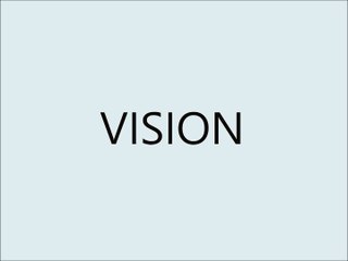 "VISION" Aiming For Everything
