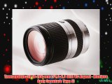 Tamron Objectif 18-200 mm F/35-63 DiIII VC Argent - Monture Sony (monture Type E)