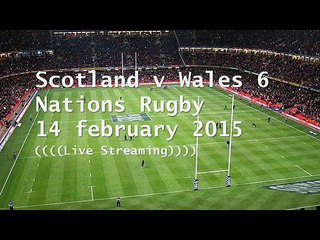 watch Scotland vs Wales online live rugby sports