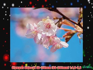 Olympus Objectif 40-150mm (80-300mm) 1:40-56