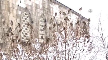 Soğuk Hava Su Sayaçlarını da Dondurdu