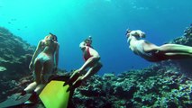 3 plongeuses en apnée avec des baleines a bosses