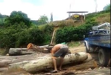 Un homme porte un énorme tronc