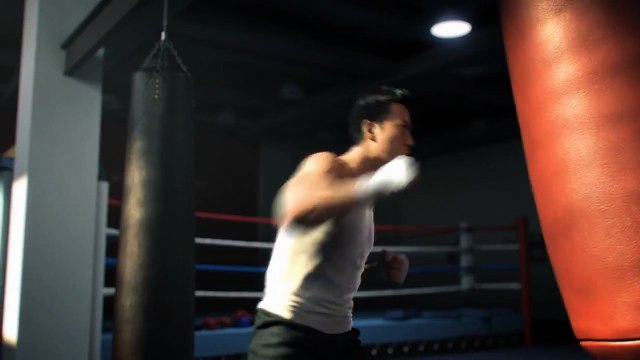 Bruce Lee vs Donnie Yen en film d'animation 3D