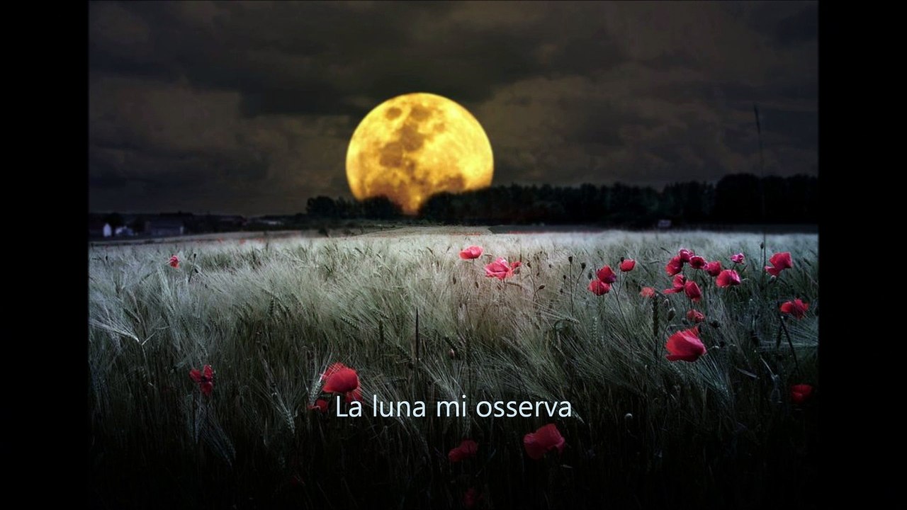 Esprimi un desiderio...