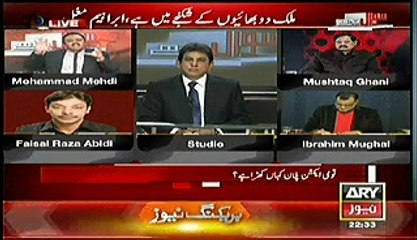 Exchange of Harsh Words between Mohammad Mehdi PMLN and Faisal Raza Abidi