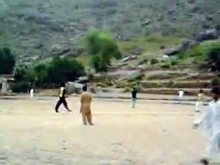 funny cricket video ever in world cup 2015