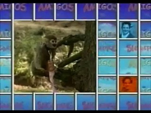 Amigos Para Sempre - Capítulo 29 Últimas Semanas