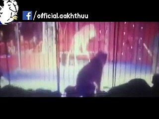 Lion Attack  on a Girl,A horrible scene - Video Dailymotion