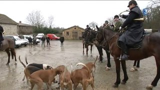 chasse à courre en Vendée