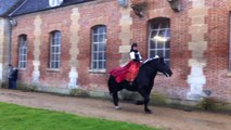 Les portes ouvertes du haras du Pin