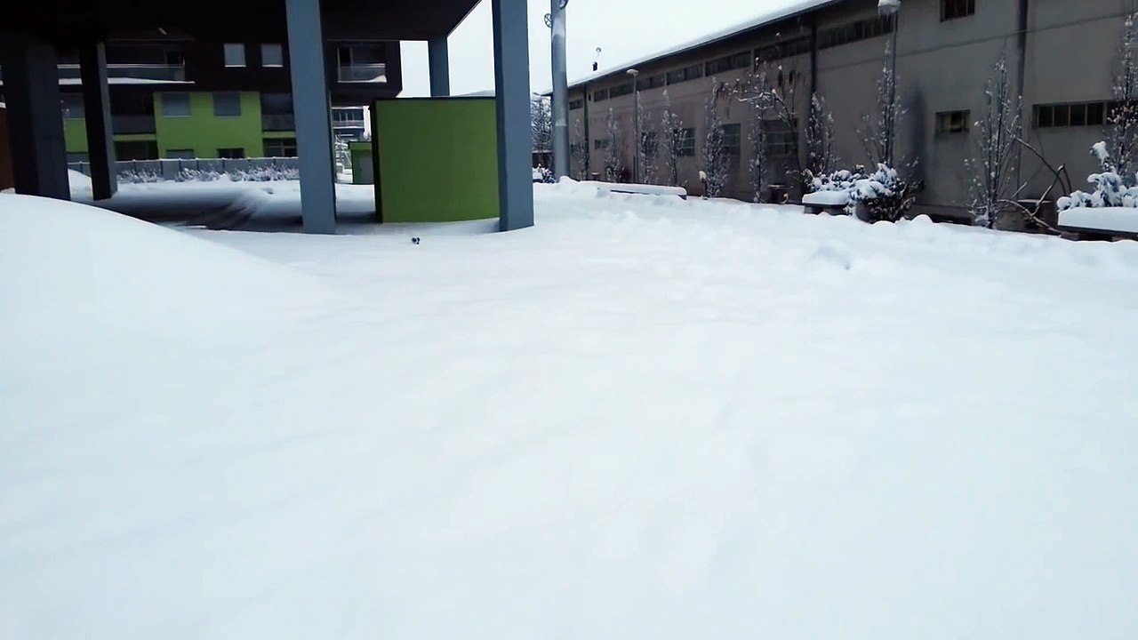 A small dog plowing through snow