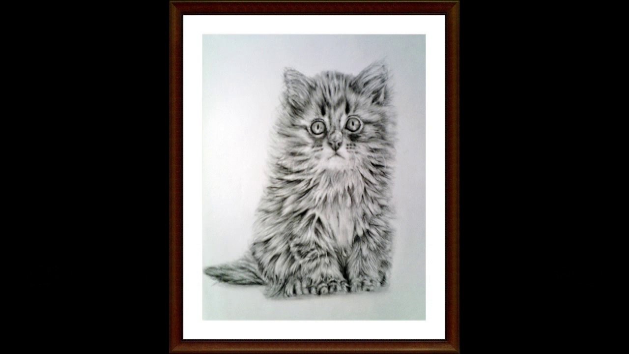 Learn How to Draw a Kitten Step by Step first lesson