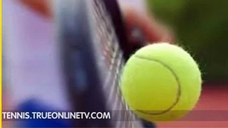 Watch Dominic Thiem vs Joao Sousa - Open 13 2015 - tennis matches 2015 - tennis live tv 2015 - tennis live online 2015