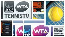 Watch - Ivo Karlovic vs Dustin Brown - Delray Beach Open 2015 - 2015 tennis live online - 2015 tennis live stream - tennis matches 2015