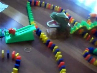 domino rally dino roar