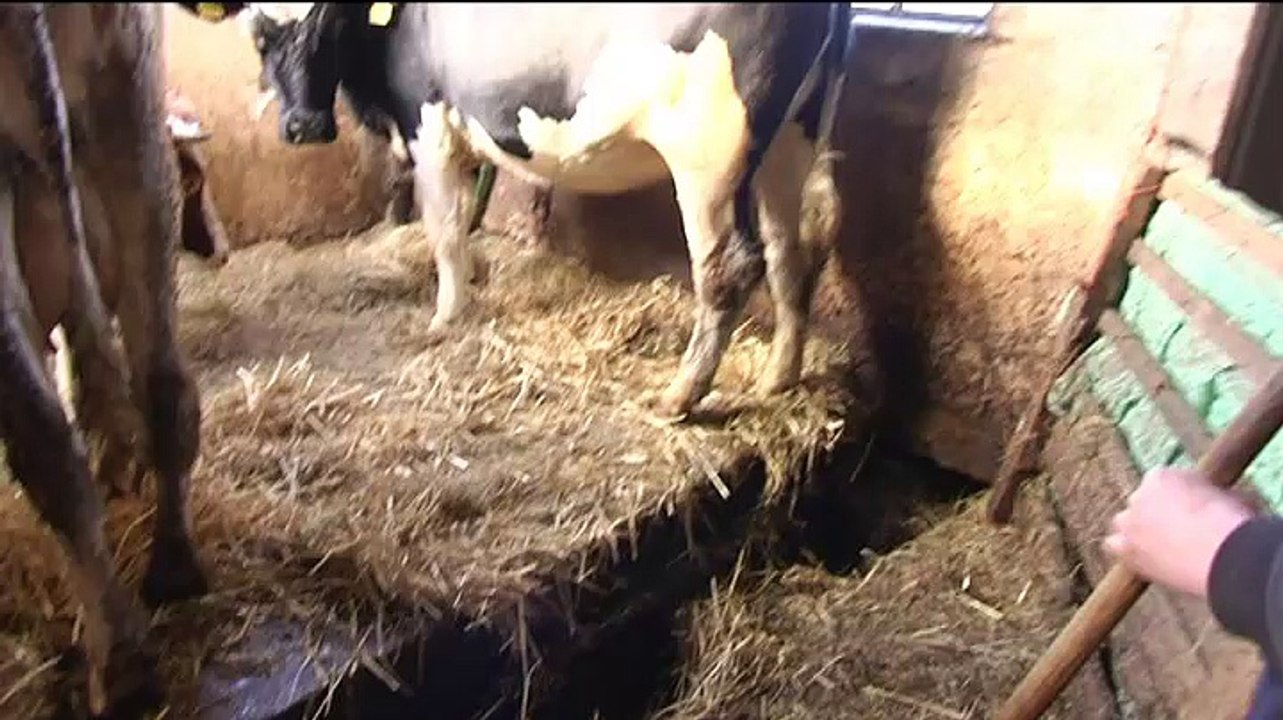 Dam Op in Lellens [14-2-2015] - RTV Noord