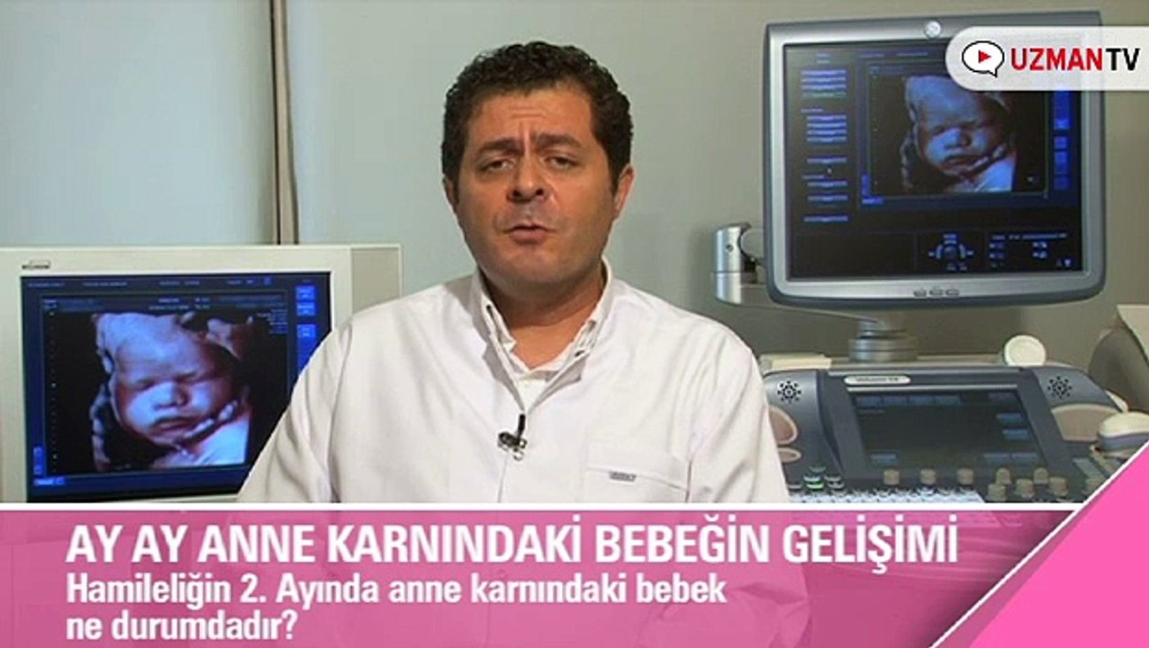 Hamileliğin 2. ayında anne karnındaki bebek ne durumdadır?