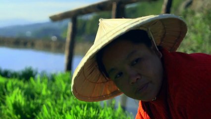 Wakeskate sur les rizières des Philippines