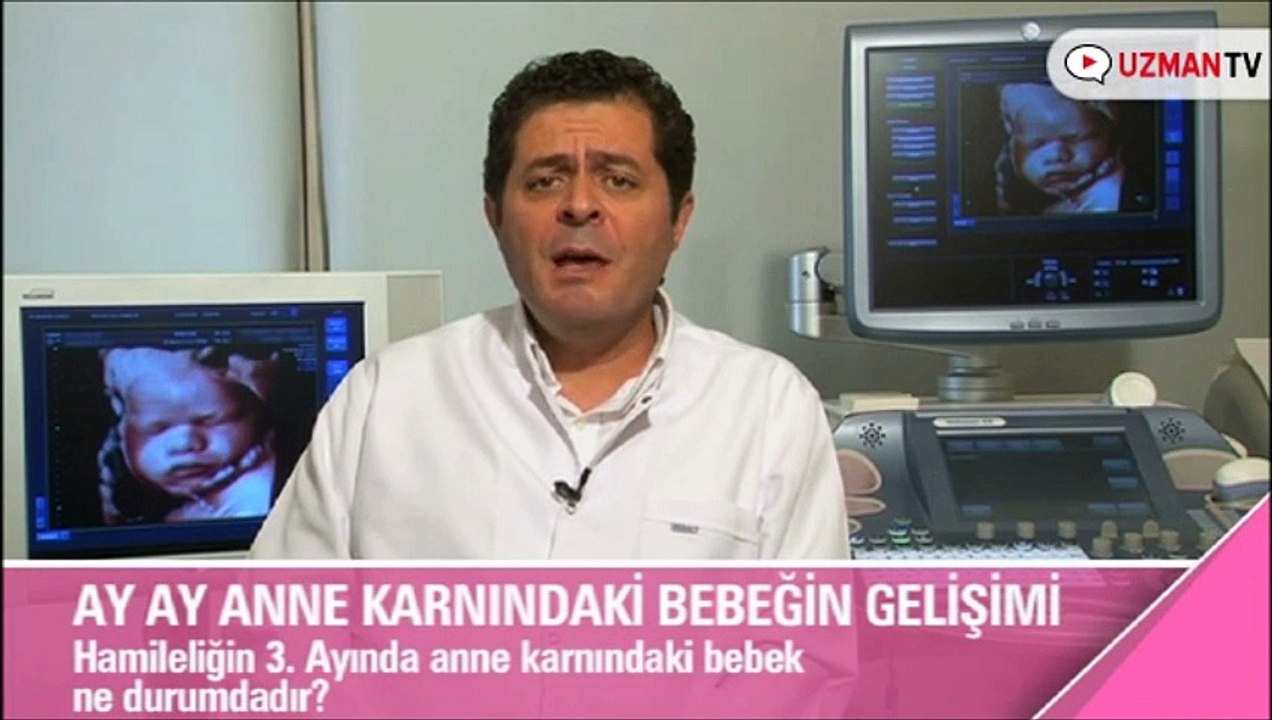 Hamileliğin 3. ayında anne karnındaki bebek ne durumdadır?