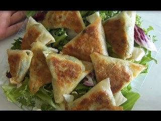 Recette Facile : Briouates/Brick aux thons et épinards