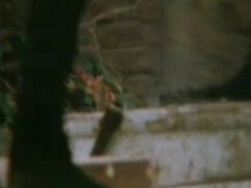 The Pogues - Streams Of Whiskey