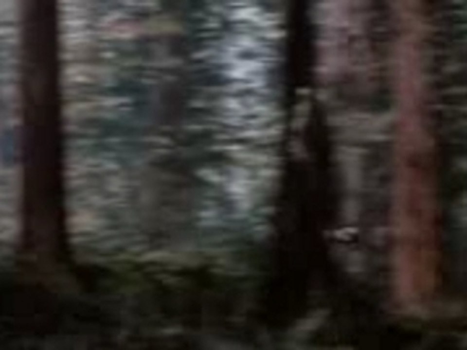 Thx Special  Lucasfilm