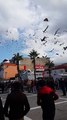 10. Osmaniye Güvercin Festivali Güvercin Döküşü 2015