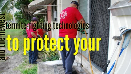 Best Termite Control Company Service in Florida