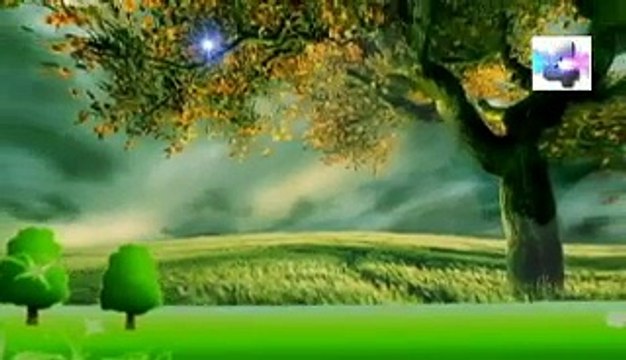 soñar con insectos que crecen y aumentan de tamaño significado de los sueños español latino