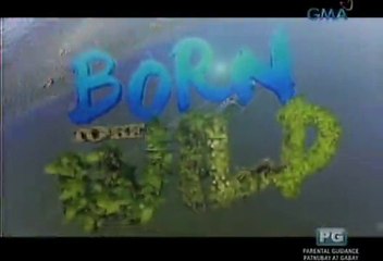 Born to be Wild 021515