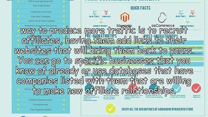 Internet Marketing, The Main Source of Traffic