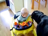 Cute baby vs Rottweiler dog funny video ...... Most funny baby vs dog video ...