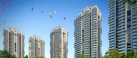 Gaur City 7th Avenue Noida Extension