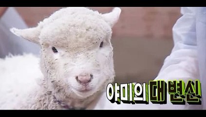 애니멀즈 4회 150215 HD FULL 애니멀즈 4화 윤석 서장훈 조재윤 윤도현 돈스파이크 기상송