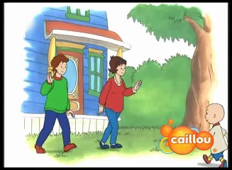 Caillou - Uykum Kacti