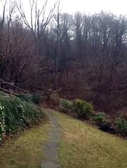 MeteoReporter Cremia 14/02/2015