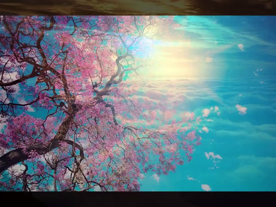 Vivre le moment présent...pour Voir la vie avec Amour !