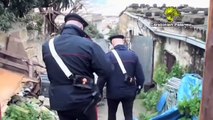 Palermo - Cani maltrattati, denunciate cinque persone (14.02.15)