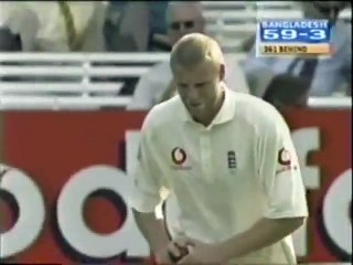 Brutal Bouncer by Andrew Flintoff