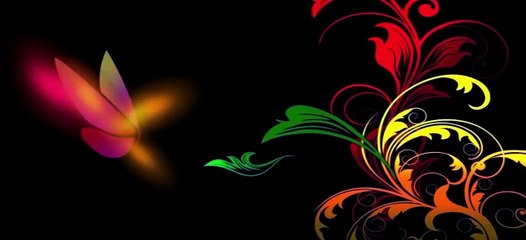 Hot Lauren Gottlieb signs Punjabi film