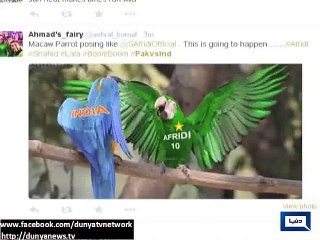 Pakistan fans cheers the team from across the country