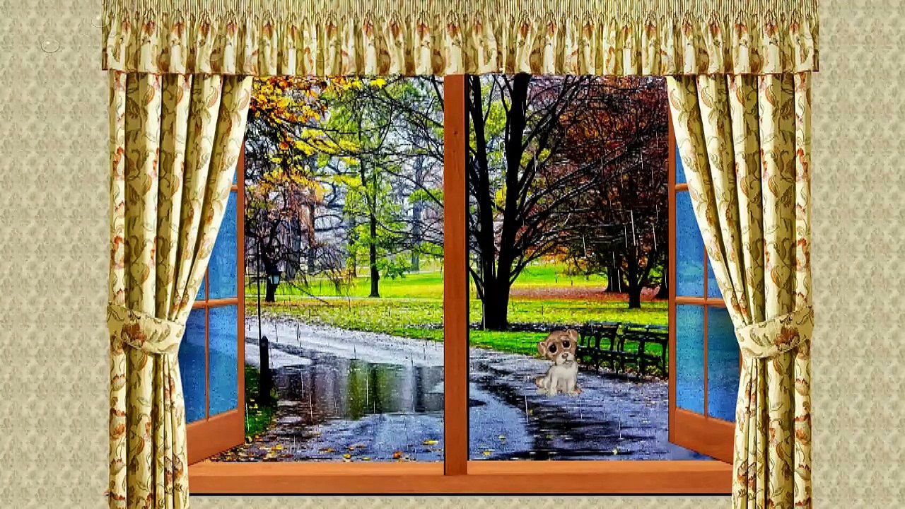 Rainy spring day! ... ... (music Richard Clayderman)  ... ...